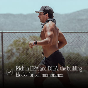 Grosir jumlah besar kapsul minyak ikan <span class=keywords><strong>omega</strong></span> 3 <span class=keywords><strong>1000mg</strong></span> suplemen minyak ikan <span class=keywords><strong>369</strong></span> minyak ikan <span class=keywords><strong>Softgel</strong></span> untuk kesehatan hati - Product Image 3