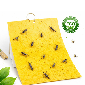 25*10 cm Double-side Ecologic Gnat Trap with Wax Protect <b>Sheet</b> Waterproof Flying Insect <b>Stickers</b> for Greenhouse/Barn - Product Image 1