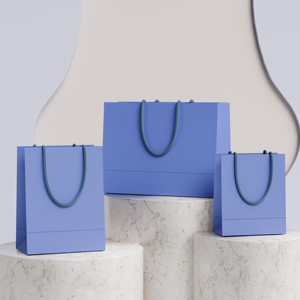 Bolsa de Papel de Compras Marrón de Lujo con Impresión Personalizada para Ropa y Joyería, Resistente, Reutilizable, para Regalos, con Asa, Estilo Clásico - Product Image 1