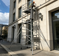 Échafaudage mobile en alliage d'aluminium léger, haute résistance, résistant à la corrosion, capacité de charge de 800 kg pour la construction de cuisines