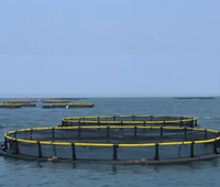 Cage à poissons flottante