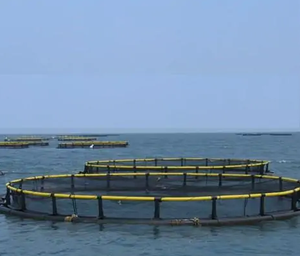 Protégé contre les UV chine l'aquaculture tilapia pisciculture cages <span class=keywords><strong>25</strong></span> mètres - Product Image 4