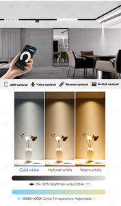 Sistema de iluminación de pista Led Cob, luces de parrilla magnética lineal, 48V, 20Mm, Wifi, Cct, 3000K, 4000K, 6000K, regulable - Product Image 6