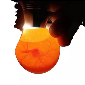 L'incubatrice di uova di pollame portatile con incubatrice di pollo illumina la nuova condizione macchina per la schiusa delle uova e la paletta delle uova
