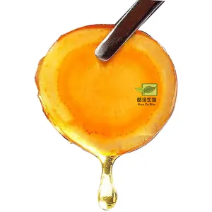 Directly eat fresh Ginseng piece honey ginseng royal jelly Customize ginseng honey