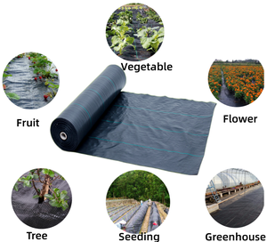 Barrière de mauvaises herbes en polyéthylène tissé en plastique agricole 90gsm, <span class=keywords><strong>rouleau</strong></span> de tissu de tapis de contrôle des mauvaises herbes de tissu de jardin 1*50m - Product Image 2