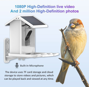 Pengumpan burung pintar dengan kamera tenaga surya 1080P HD, kamera nirkabel luar ruangan menangkap otomatis untuk hadiah pecinta burung - Product Image 4