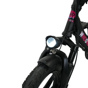 Vélo électrique pliable facile 14 pouces 350w à vitesse unique Steal Fork Fat Tire Vélo de ville électrique avec écran Lcd - Product Image 2