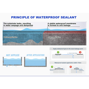 Sellador Líquido Transparente Impermeable de Primera Calidad <span class=keywords><strong>para</strong></span> Aplicaciones en Techos y Paredes - Product Image 4