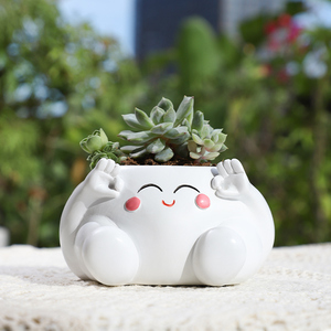 ROOGO Vente en gros Mini petits pots à plantes mignons pour exprimer <span class=keywords><strong>son</strong></span> humeur Jardinières en pot de plantes succulentes en résine sur la table - Product Image 3