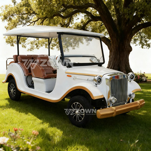 Voiture électrique de tourisme vintage blanche 8 places avec sièges marron et garnitures dorées pour utilisation en parc - Product Image 5