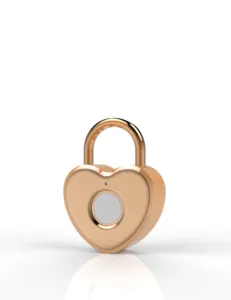 SY61 Intelligent Waterproof Fingerprint Padlock MICRO USB Heart Gold Padlock