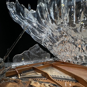 <span class=keywords><strong>Pianoforte</strong></span> <span class=keywords><strong>a</strong></span> Coda Moderno in Cristallo di Alta Qualità con Sistema di Riproduzione Automatica per Concerti ed Eventi - Product Image 5