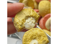 Fabrieksgroothandel Halfronde Gefreeze-droogde Mango & Aardbei Cashew Crispy OEM Private Label Aangepaste Verpakking Bulk Leverancier