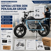 Vélo Électrique en Gros OEM Style Rétro Moped à Pneus Larges avec Logo Personnalisé Fournisseur en Gros Commande en Gros