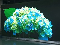 Layar LED 4K Dalam Ruangan Resolusi Tinggi Refresh Rate Tinggi Modul P3 192*192mm Dukungan Animasi untuk Pusat Perbelanjaan Kecerahan 700cd/m