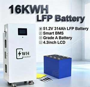 Batterie Lifepo4 WH <span class=keywords><strong>24v</strong></span> 48V 15KWh 16kwh 8kwh, batterie solaire, stockage d'énergie, batteries lithium domestiques, onduleur, système tout-en-un - Product Image 1