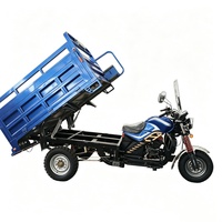 Tricycle cargo à moteur refroidi par air de 200 cm³ avec pare-brise, trike motorisé à 3 roues très populaire pour le transport de marchandises sur le marché d'Asie centrale