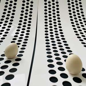 חגורת איסוף ביצית pp מסוע חגורה מחיר נמוך פוליפרופילן מסוע עבור מערכת להסרת זבל עוף 35 - Product Image 6