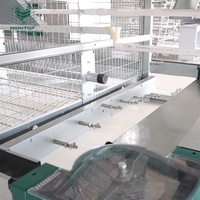 Cages à poules pondeuses en H conformes aux normes européennes, enrichies en espace, avec perchoirs autonettoyants et bande de retrait du fumier