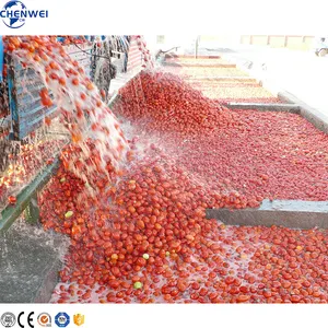 Ligne de production de pâte de tomate aseptique Machine pour faire de la sauce tomate