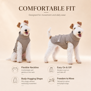 Veste de luxe personnalisée pour chien, vêtements classiques chauds d'hiver pour chat et chiot, tapis de couchage, équipement, vente en gros, OEM personnalisé - Product Image 2