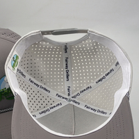 Gorra de Béisbol/Golf de 5 Paneles de Alta Calidad, Gris y Blanca, Bicolor, Perforada con Láser, Transpirable, Impermeable, Deportiva, Unisex, con Goma