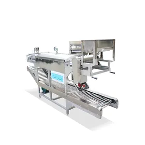 2019 best selling Automatic chinese noodle machine processing/rice noodle making machine