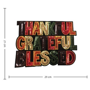 Miếng dán thêu sequin may nóng, trang trí quần áo cho các dự án tự làm - Product Image 2