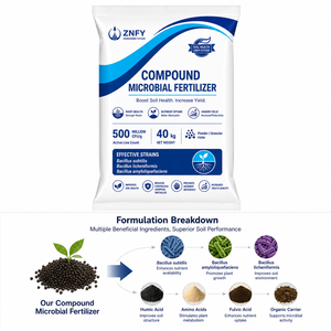 <span class=keywords><strong>Engrais</strong></span> Microbien Biologique ZNFY Bacillus Amyloliquefaciens Conditionneur de Sol Acide Humique NPK Bio <span class=keywords><strong>Engrais</strong></span> Granulaire en Poudre - Product Image 3