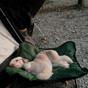 이동식 애완견 휴대용 침대 방수 강아지 고양이 매트 여행 캠핑 야외 접이식 휴대용 애완견 침대 - Product Image 3
