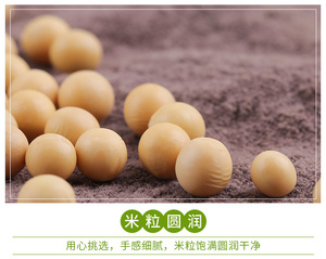 Bulk Yellow High <strong>Protein</strong> Dried Soybeans Human <strong>Food</strong> <strong>Grade</strong> Competitive Price - Product Image 2