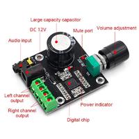 Module de carte amplificateur audio numérique à double puissance RNSbot 12v classe D PAM8610