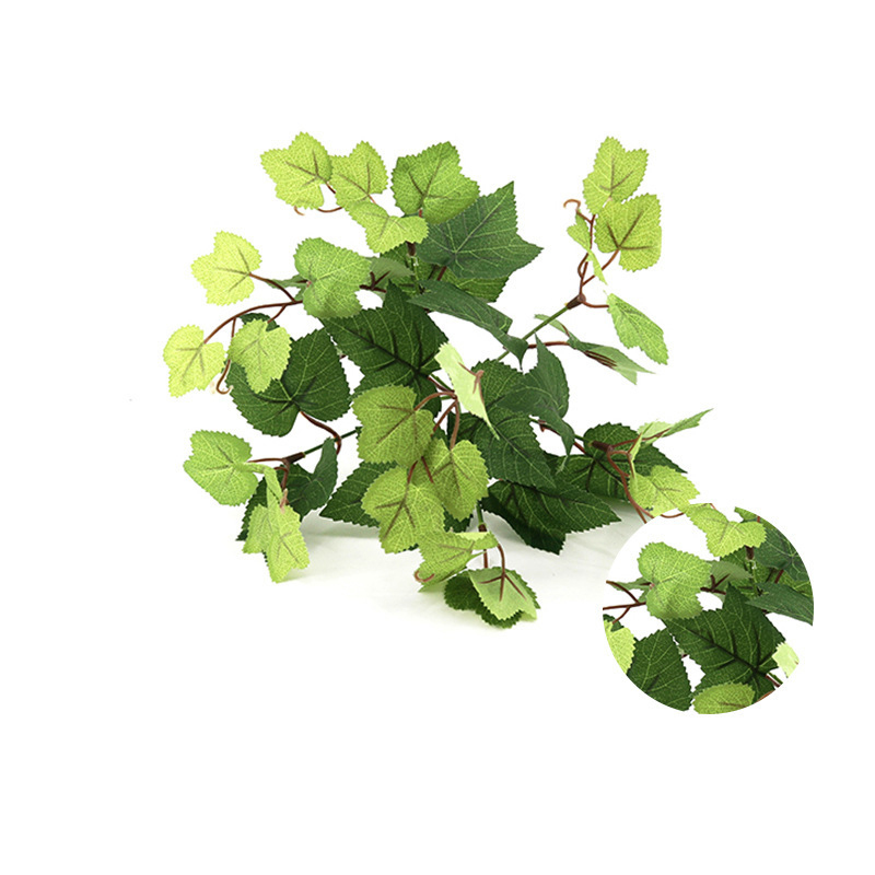 Grape Leaf