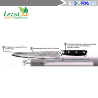 Couteau de cuisine professionnel avec manche ergonomique en plastique Couteau de chef damas VG10 de haute qualité