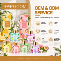 Usine en gros personnalisé Premium verre roseau diffuseur maison parfum désodorisant aromathérapie huile liquide diffuseur cadeau ensemble