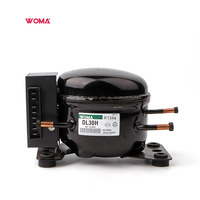 Compresores de Refrigeración DL30H 12V 24V DC, Compresor de Refrigeración para Congelador y Refrigerador de Auto