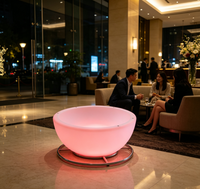 Chaise bol lumineuse LED moderne, élégante, multicolore, télécommandée, IP65, rechargeable, intensité réglable, garantie 2 ans, idéale pour les fêtes