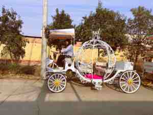 Meilleures ventes : Nouvelle carrosse de mariage Cendrillon personnalisée, carrosse citrouille, carrosse d'exposition de Noël à vendre - Product Image 6