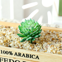 Perlengkapan DIY Kreatif Tanaman Echeveria Chihuahuaensis Simulasi Aksesoris Dinding Tanaman Hijau Buatan Bunga Palsu Pernikahan