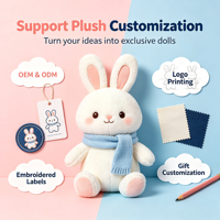 Peluche personnalisée, poupée mascotte créative culturelle sur mesure, coussin pendentif personnalisé, jouet en peluche rembourré, service OEM