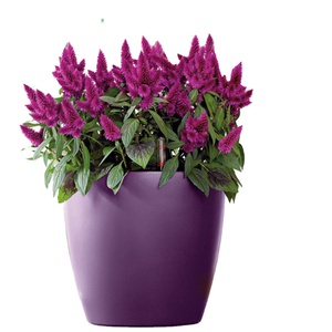 Pots <span class=keywords><strong>de</strong></span> fleurs Leizisure, pots auto-arrosants d'intérieur, systèmes hydroponiques, pots à arrosage automatique - Product Image 1