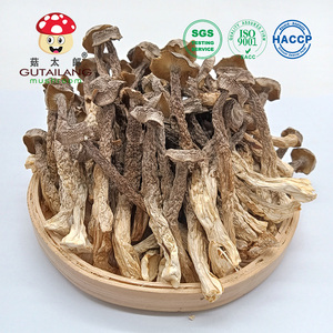 فطر المخمل المجفف عالي الجودة بالجملة، فطر قرون النمل المجفف، فطر قرون النمل الطبيعي المجفف للأكل - Product Image 4