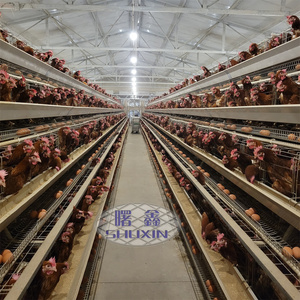 Cage automatique pour poules pondeuses de grande capacité 10000 poulets poules pondeuses alimentation automatique Cages pour volaille en batterie à <span class=keywords><strong>vendre</strong></span> - Product Image 6