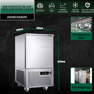 Congelador de Impacto de Acero Inoxidable 304 de 1 Puerta con Enfriamiento por Aire a -40 Grados para Dumplings y Carne - Product Image 3