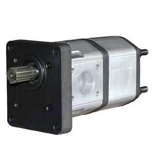 Pompe à engrenages hydraulique 4212880 4212880M91 3691512M92 4216057M91 utilisée pour tracteur <span class=keywords><strong>Landini</strong></span> Landpower 125, 135, 145, 165 et 180. - Product Image 1