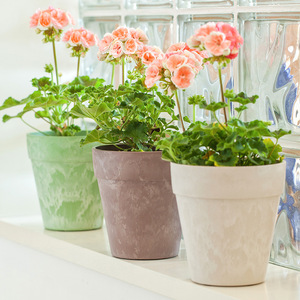 Maceta decorativa de alta calidad <span class=keywords><strong>para</strong></span> flores cortadas, Cubo de flores de plástico blanco y rosa <span class=keywords><strong>para</strong></span> decoración del hogar, maceta con estampado de nubes <span class=keywords><strong>para</strong></span> jardín - Product Image 4