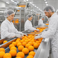 Ligne de traitement automatique clé en main pour jus d'agrumes, usine de production de jus d'orange NFC, machine d'extraction de jus de fruits