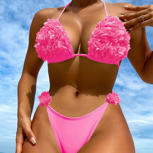 Conjunto de Biquíni Micro Triângulo <span class=keywords><strong>Sexy</strong></span> de Duas Peças Personalizado PASUXI, Moda Praia para Mulheres em Estoque - Product Image 4