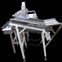 Op maat gemaakte fruit- en groentesorteermachine, maat- en gewichtssorteermachine prijs JZW-100g fabrikant